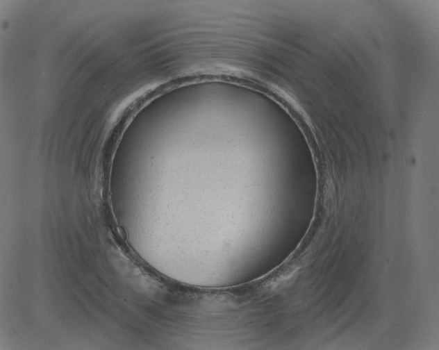 X0000084600979200703091924