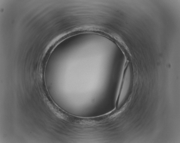 X0000084600981200703091924