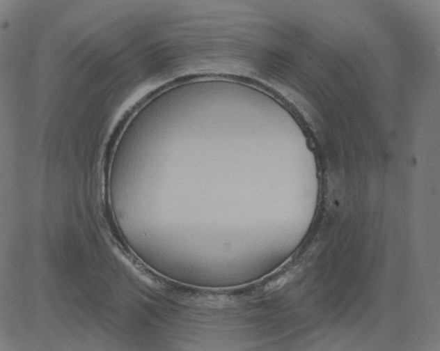 X0000084600982200703091924