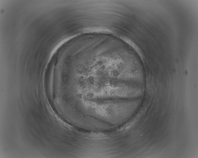 X0000084600983200703091924