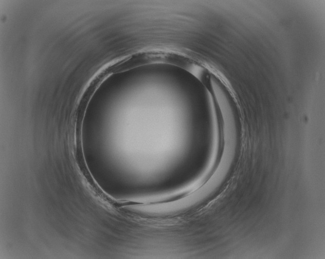 X0000084600984200703091924