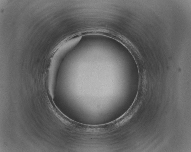 X0000084600985200703091924