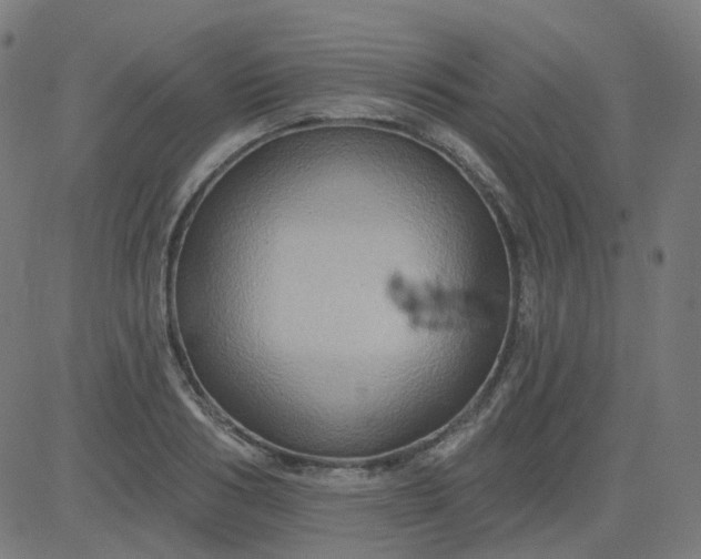 X0000084600986200703091924