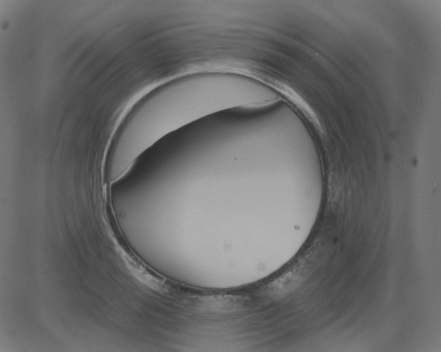 X0000084600988200703091924