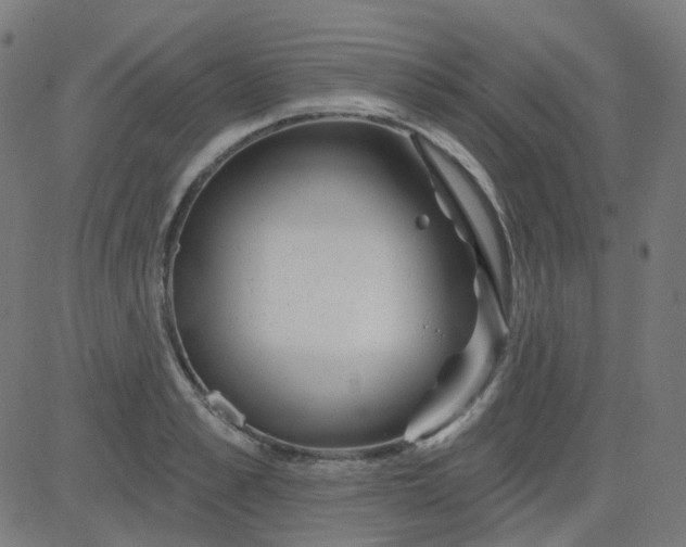 X0000084600989200703091924