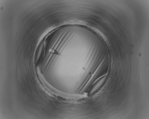 X0000084600990200703091924