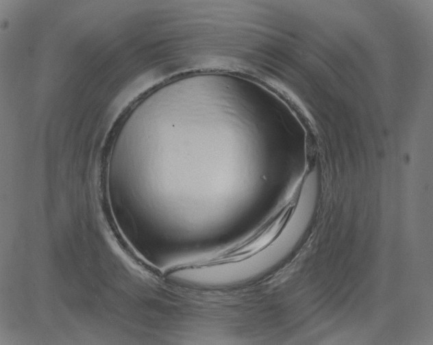 X0000084600991200703091924