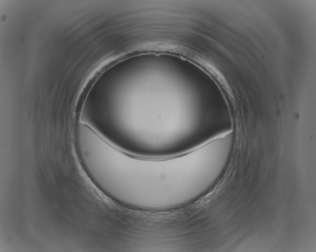 X0000084600992200703091924