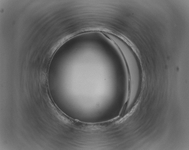 X0000084600993200703091924