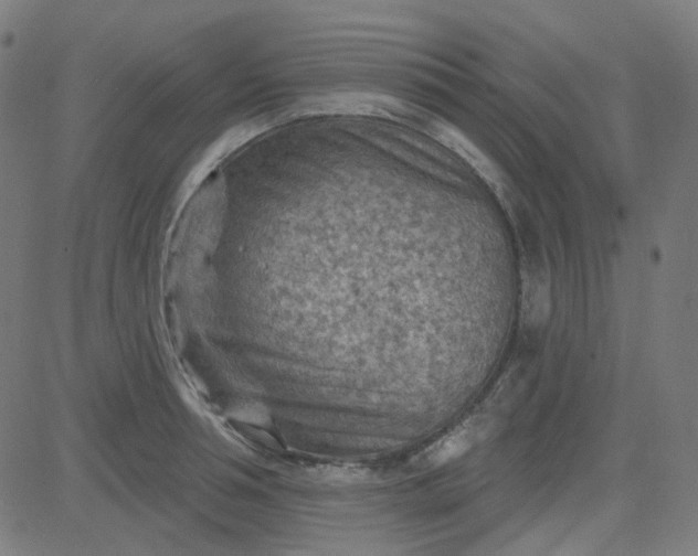 X0000084600994200703091924