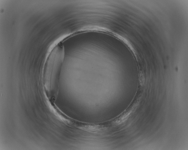 X0000084600995200703091924