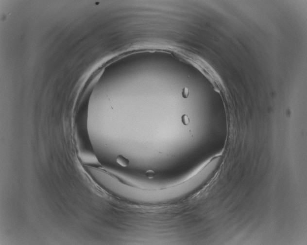 X0000084600996200703091924