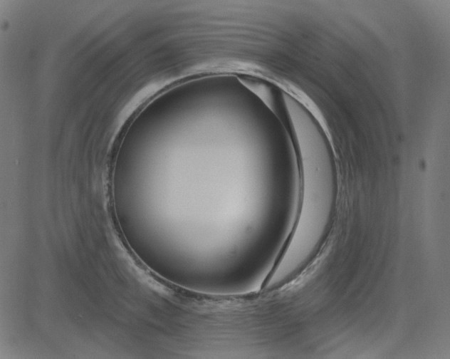 X0000084600997200703091924