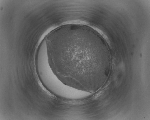 X0000084600998200703091924