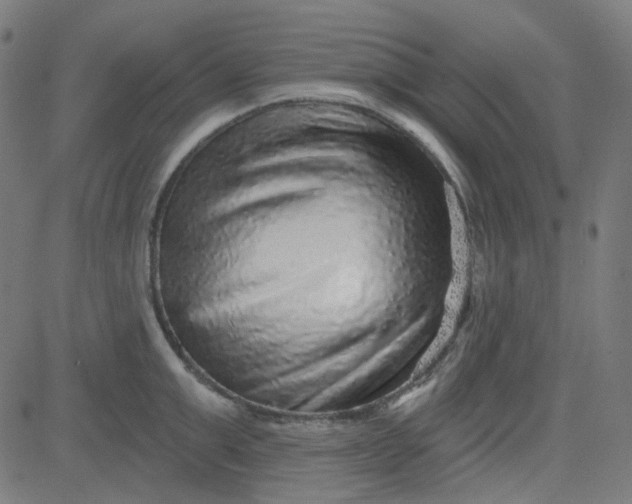 X0000084600999200703091924