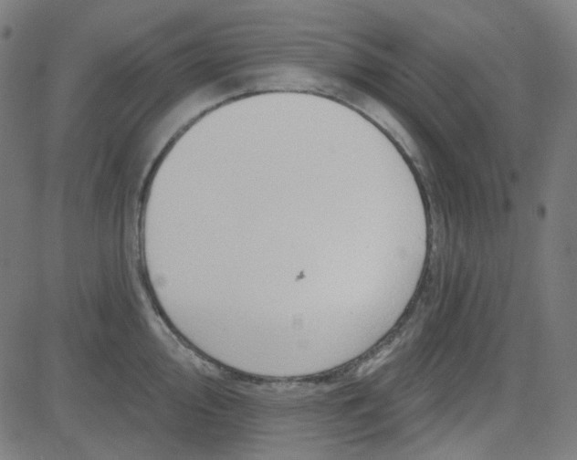 X0000084601000200703091924