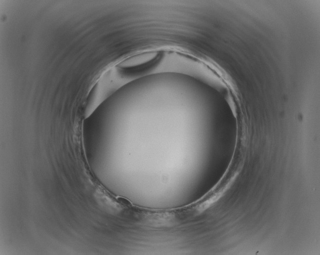 X0000084601001200703091924