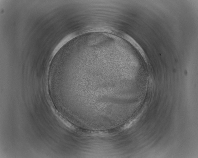 X0000084601002200703091924