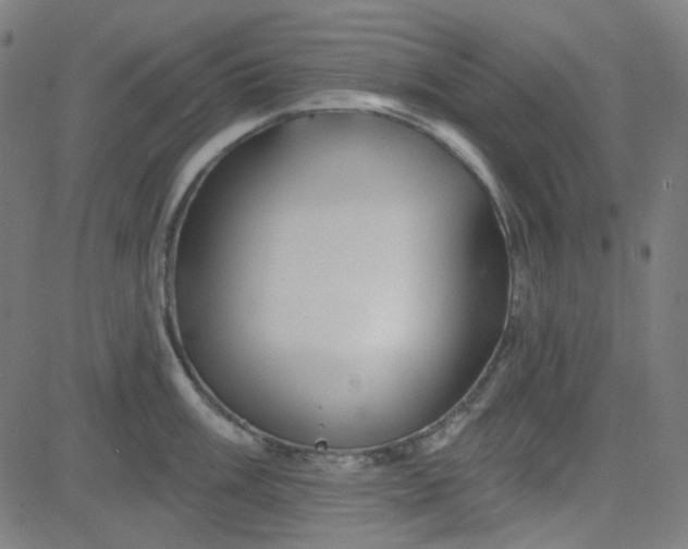 X0000084601003200703091924