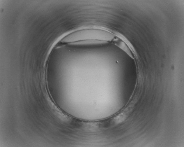 X0000084601004200703091924