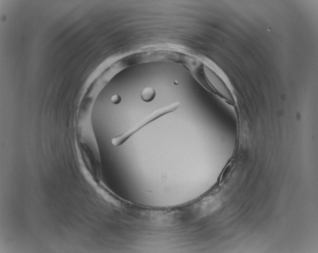 X0000084601005200703091924