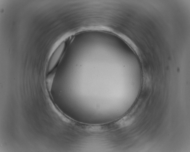 X0000084601006200703091924