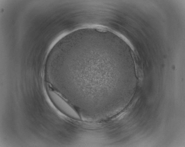 X0000084601007200703091924