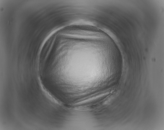 X0000084601008200703091924