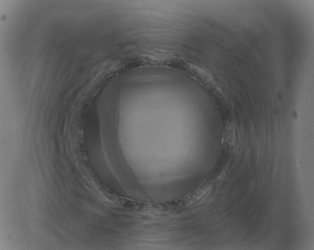 X0000084601009200703091923