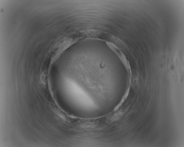 X0000084601010200703091923