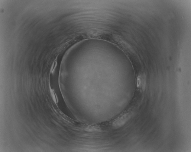 X0000084601011200703091923