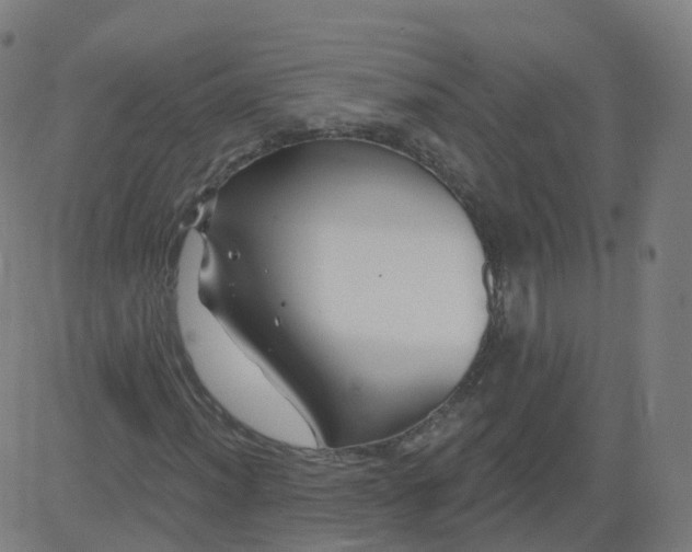 X0000084601012200703091923