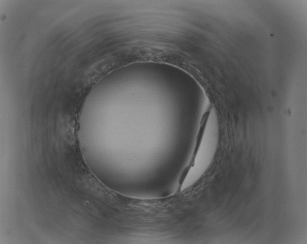 X0000084601013200703091923