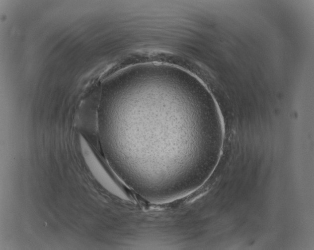 X0000084601014200703091923