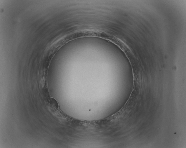 X0000084601015200703091923