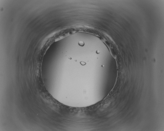 X0000084601016200703091923