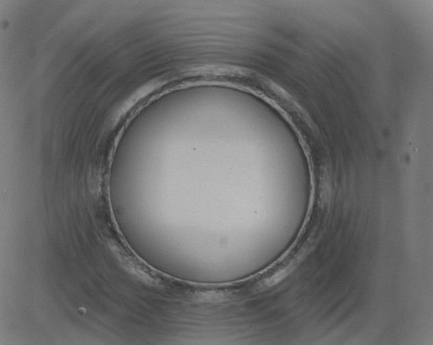 X0000084601017200703091923