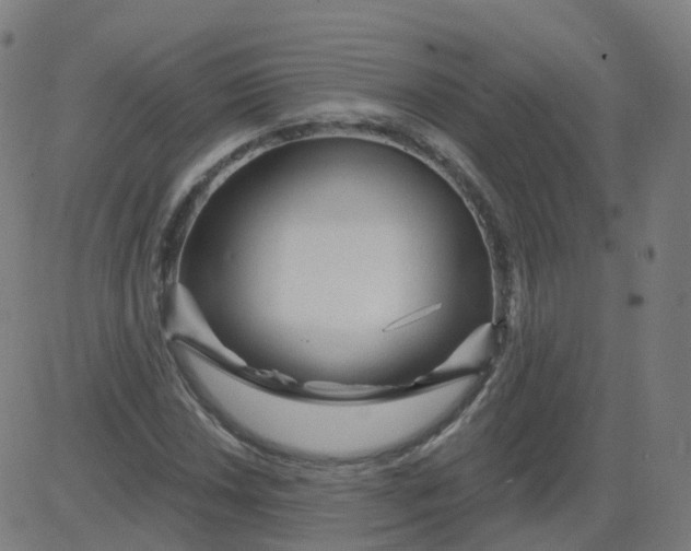 X0000084601018200703091923