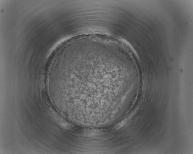 X0000084601019200703091923