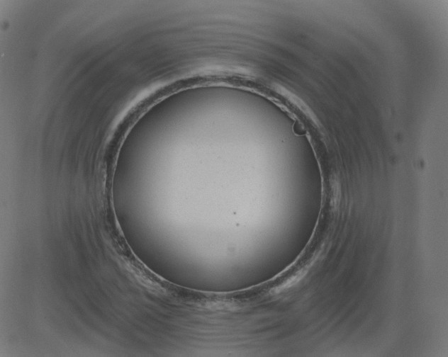 X0000084601021200703091923