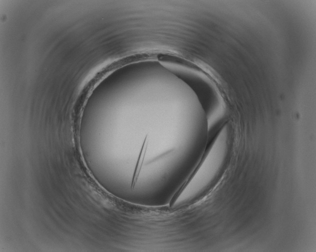 X0000084601022200703091923