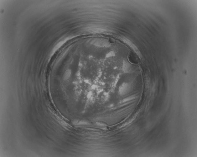 X0000084601023200703091923