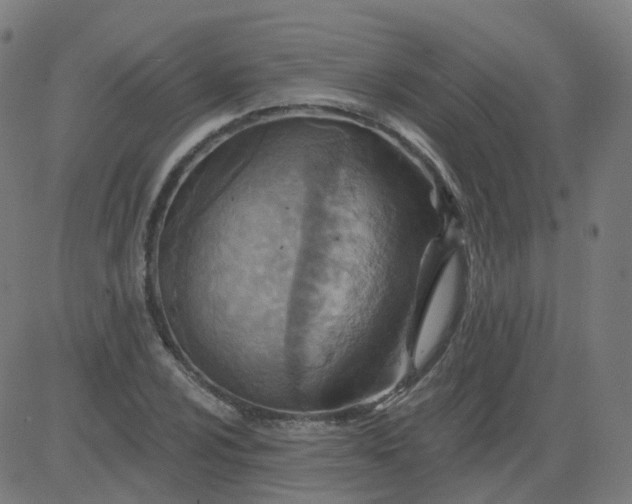 X0000084601024200703091923