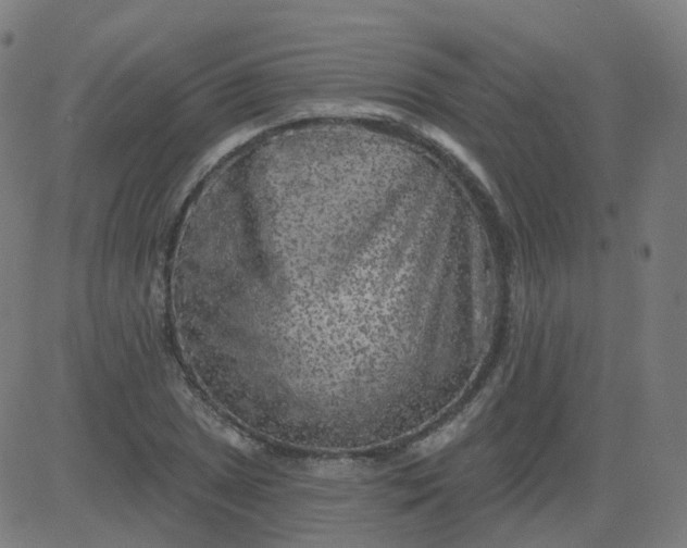 X0000084601025200703091923