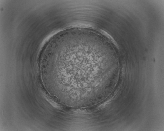 X0000084601027200703091923