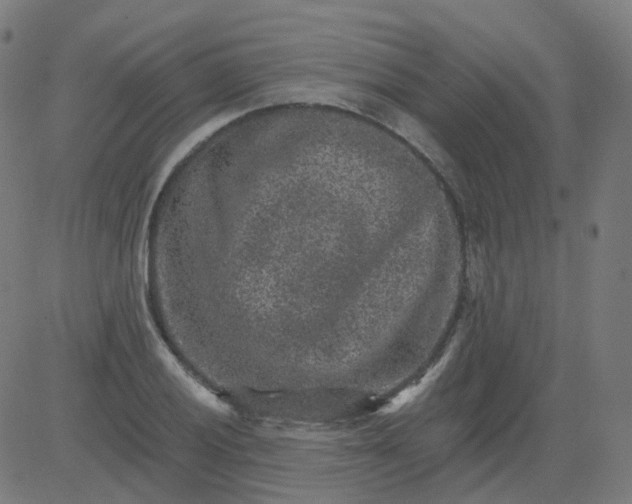 X0000084601028200703091923