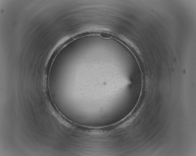 X0000084601029200703091923