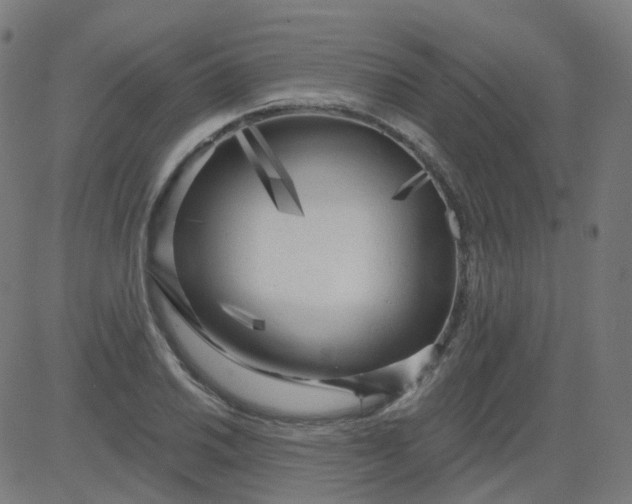 X0000084601030200703091923