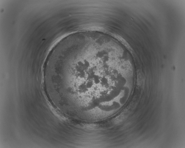 X0000084601031200703091923