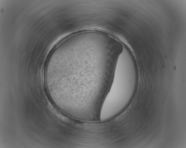 X0000084601032200703091923